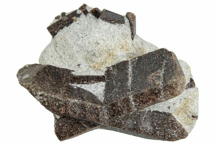 Twinned Staurolite Cross In Mica-Schist - Pestsovye Keivy, Russia #240399